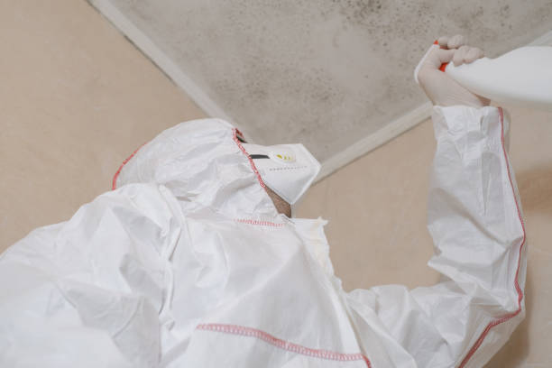 Best Mold Removal Process  in Osawatomie, KS