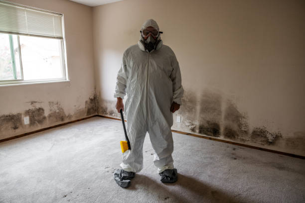 Certified Mold Removal in Osawatomie, KS